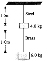 NCERT Solutions for Class 11 Physics Chapter 9 Mechanical Properties of Solids 5