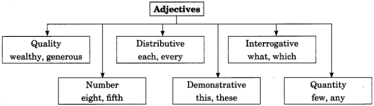 online-education-exercise-on-adjectives-for-class-7-cbse-with-answers-ncert-mcq