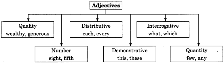 Adjectives Exercises For Class 7