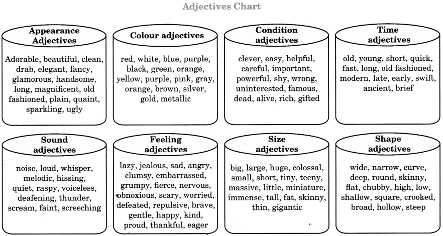 Adjectives Exercises For Class 6