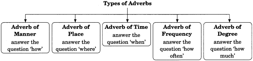 Adverbs Worksheet For Class 7
