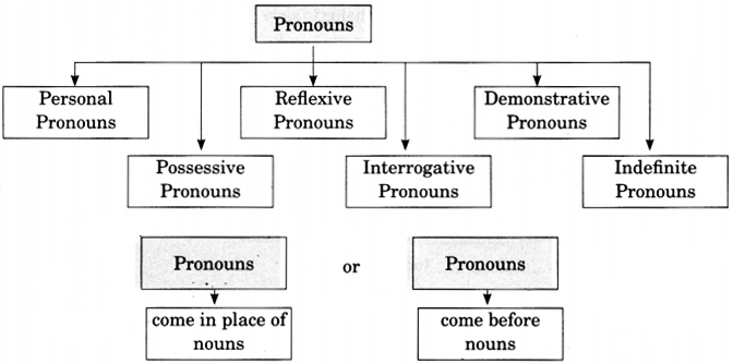 Pronouns Worksheet For Class 6