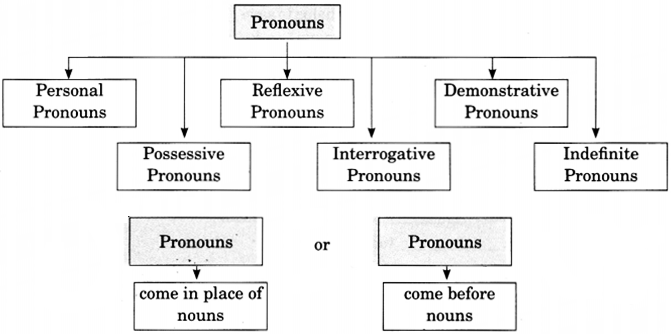 Pronoun Exercises For Class 6 CBSE With Answers NCERT MCQ