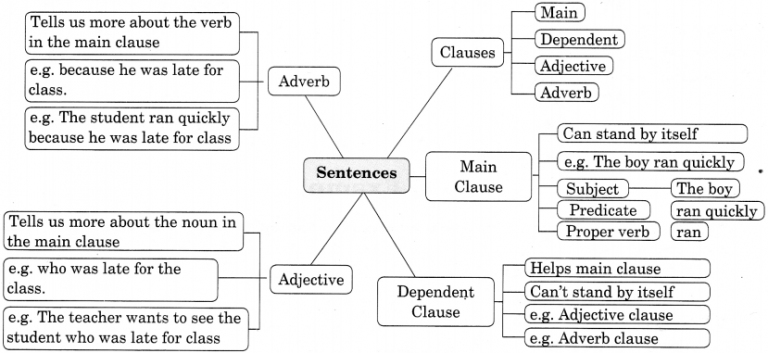 Sentences Worksheet For Class 7 With Answers