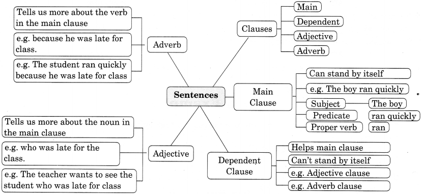 Sentence Exercise For Class 7