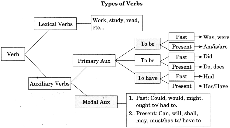 Subject Verb Agreement Class 6 Worksheet