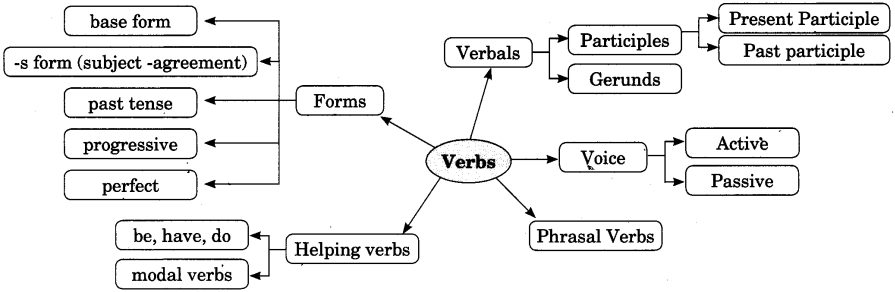Subject Verb Agreement Exercises For Class 7 CBSE With Answers NCERT MCQ
