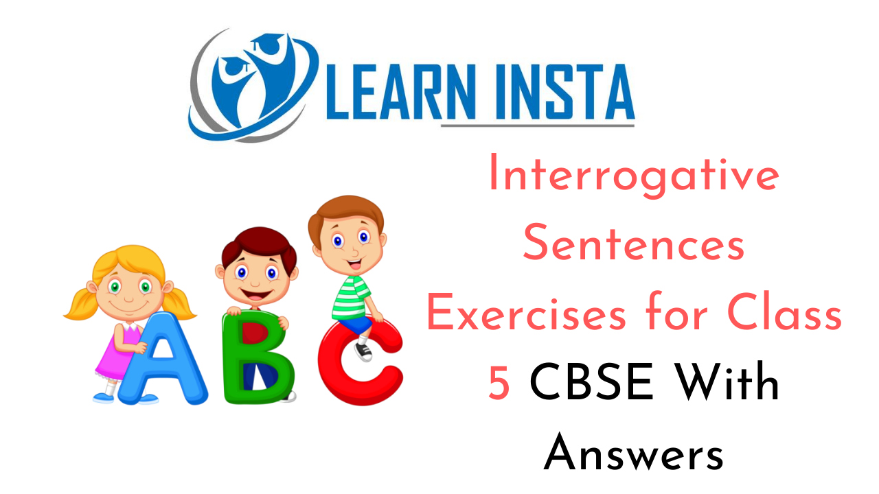 Interrogative Sentences Exercises Answer