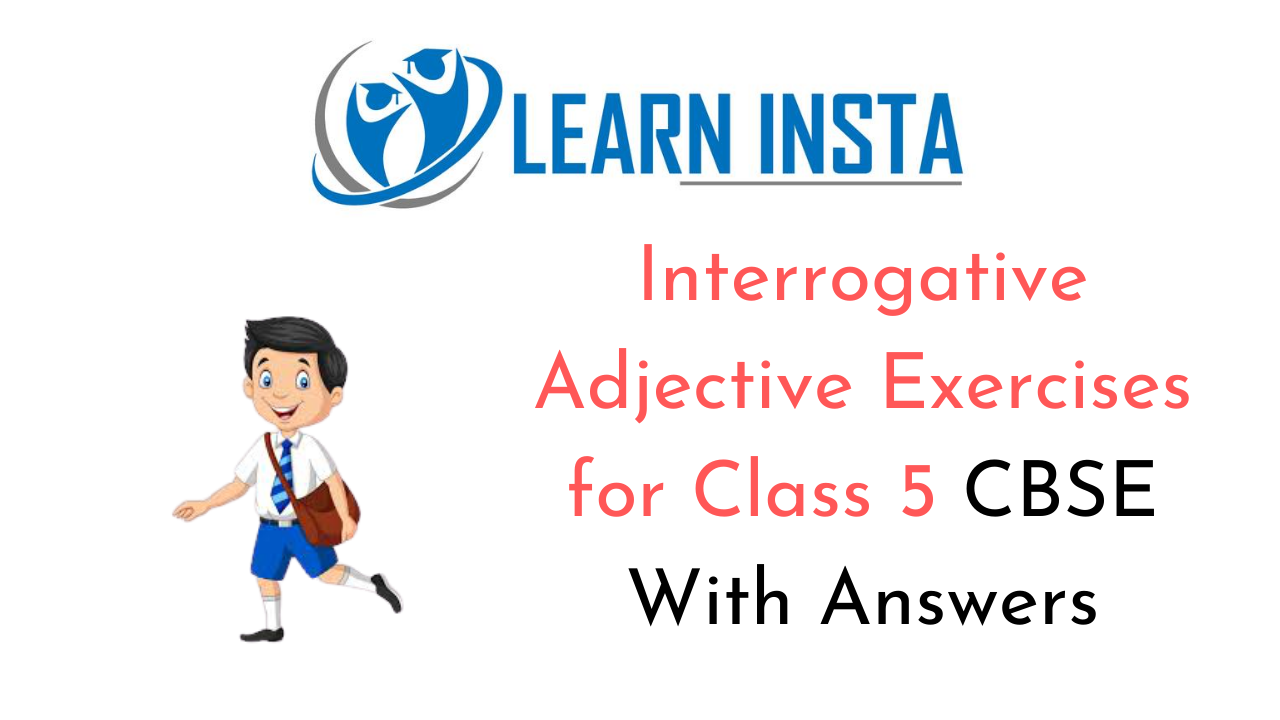 Interrogative Adjectives Exercises