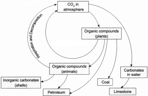 Natural Resources Class 9 Extra Questions And Answers Science Chapter ...