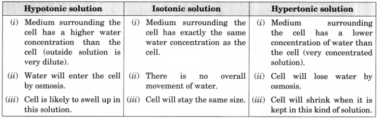 Fundamental Unit Of Life Class 9 Extra Questions