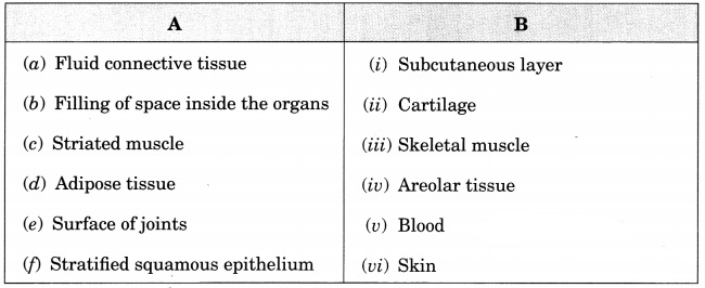 Tissues Class 9 Extra Questions and Answers Science Chapter 6 8