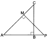 Triangles Class 10 Extra Questions Maths Chapter 6 with Solutions Answers 28