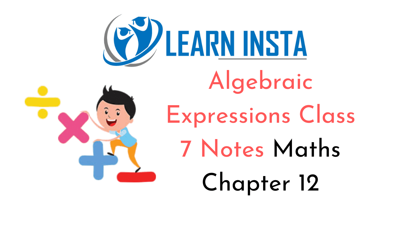 Algebraic Expressions Class 7 Notes