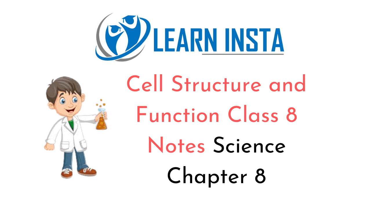 Cell Structure and Function Class 8 Notes