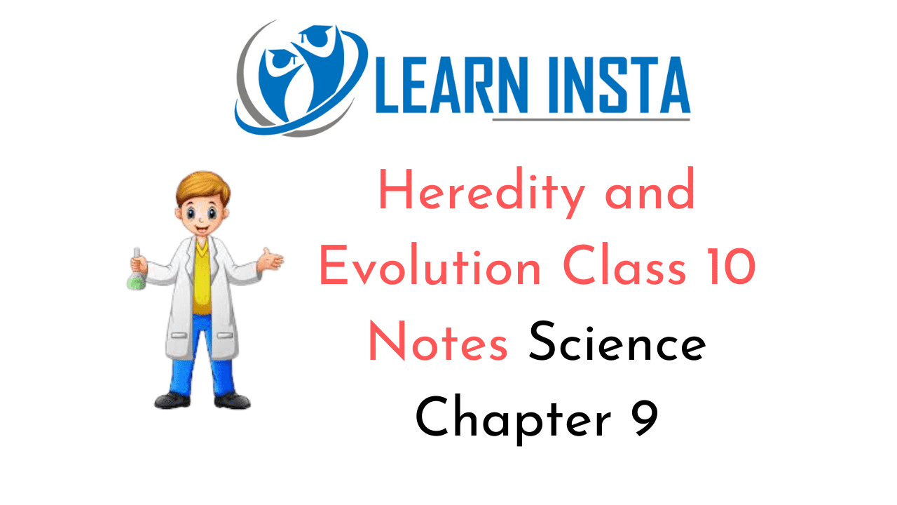 Heredity and Evolution Class 10 Notes