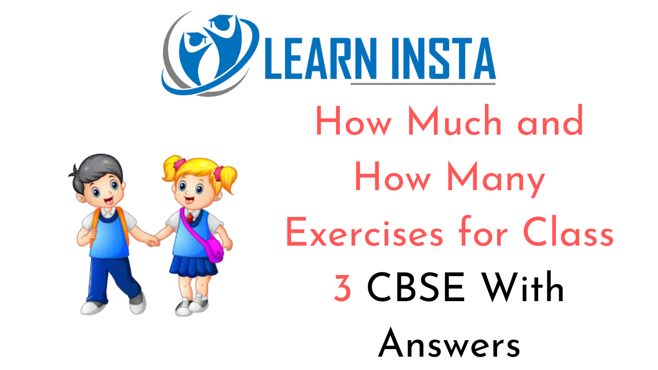 How Much and How Many Worksheet Exercises for Class 3 CBSE with Answers 1