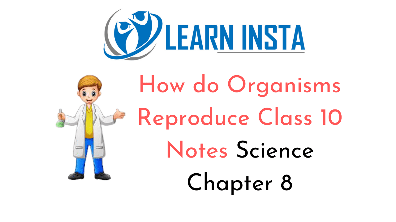 How do Organisms Reproduce Class 10 Notes
