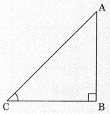 Introduction to Trigonometry Class 10 Notes Maths Chapter 8 1
