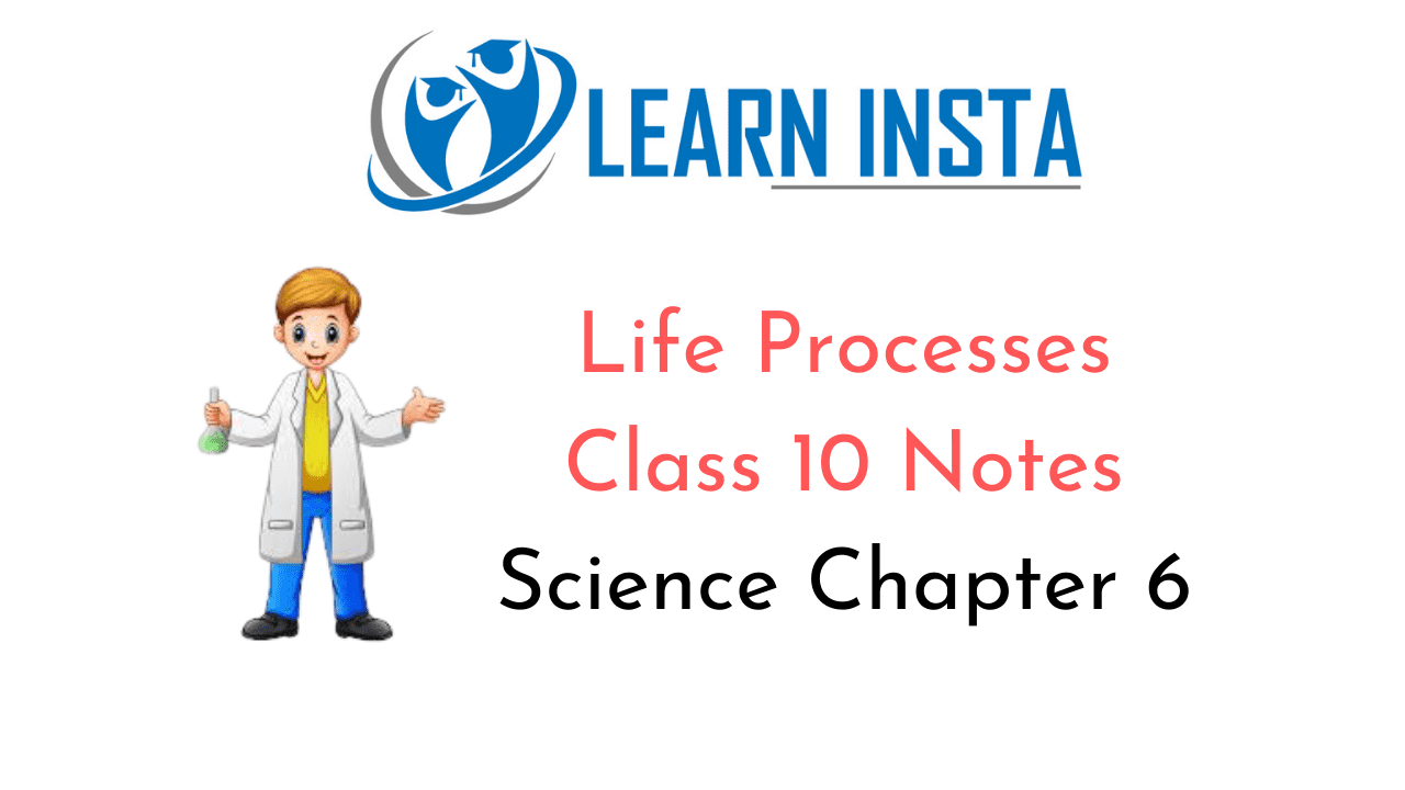 Life Processes Class 10 Notes