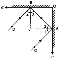 Lines and Angles Class 9 Extra Questions Maths Chapter 6 with Solutions Answers 21