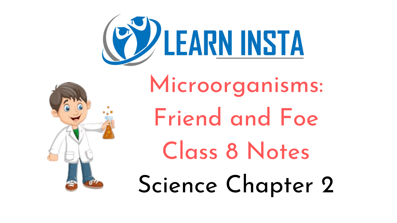 Microorganisms Friend and Foe Class 8 Notes