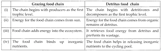 NCERT Solutions for Class 12 Biology Chapter 14 Ecosystem 6.1