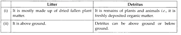 NCERT Solutions for Class 12 Biology Chapter 14 Ecosystem 6.3