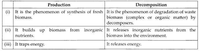 NCERT Solutions for Class 12 Biology Chapter 14 Ecosystem 6.4