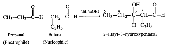 NCERT Solutions for Class 12 Chemistry Chapter 12 Aldehydes, Ketones and Carboxylic Acids te39