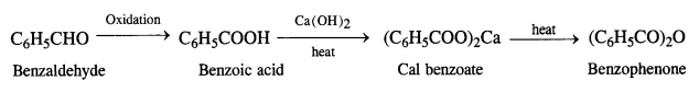 NCERT Solutions for Class 12 Chemistry Chapter 12 Aldehydes, Ketones and Carboxylic Acids te52