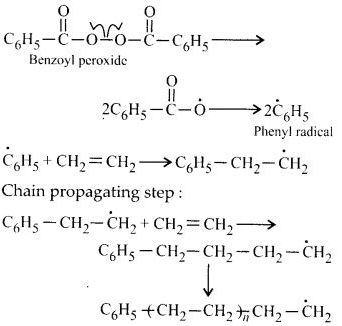 NCERT Solutions for Class 12 Chemistry Chapter 15 Polymers 7