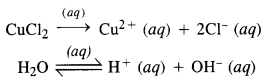 NCERT Solutions for Class 12 Chemistry Chapter 3 Electrochemistry 38