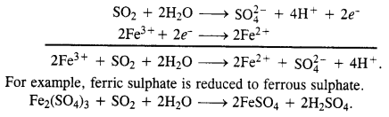 NCERT Solutions for Class 12 Chemistry Chapter 7 The p-Block Elements 9