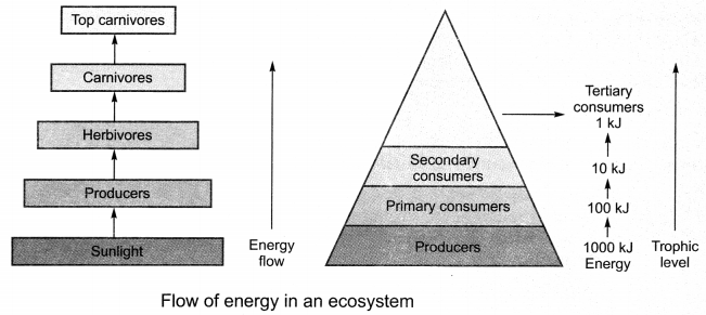 Our Environment Class 10 Notes Science Chapter 15 2