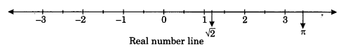 Real Numbers Class 10 Notes Maths Chapter 1