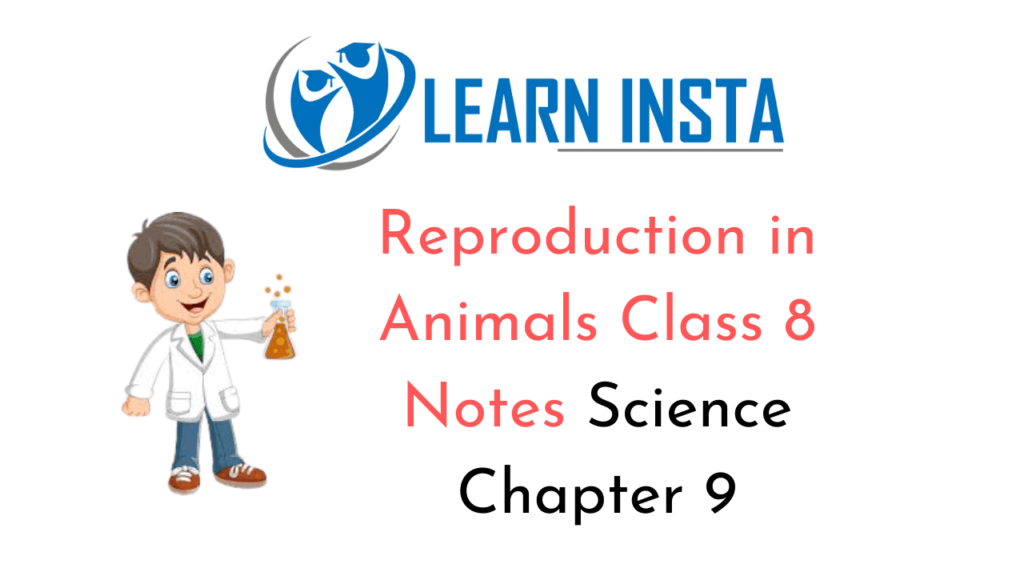 Reproduction in Animals Class 8 Notes Science Chapter 9 – NCERT MCQ