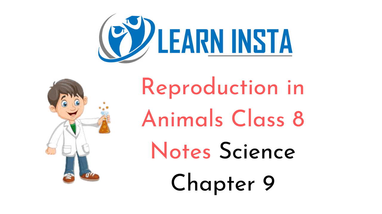 Reproduction in Animals Class 8 Notes