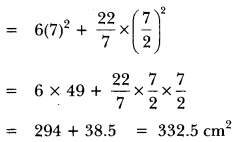 Surface Area Volume Class 10 Extra Questions