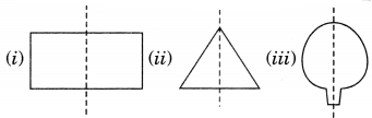 Symmetry Class 7 Notes Maths Chapter 14 .2