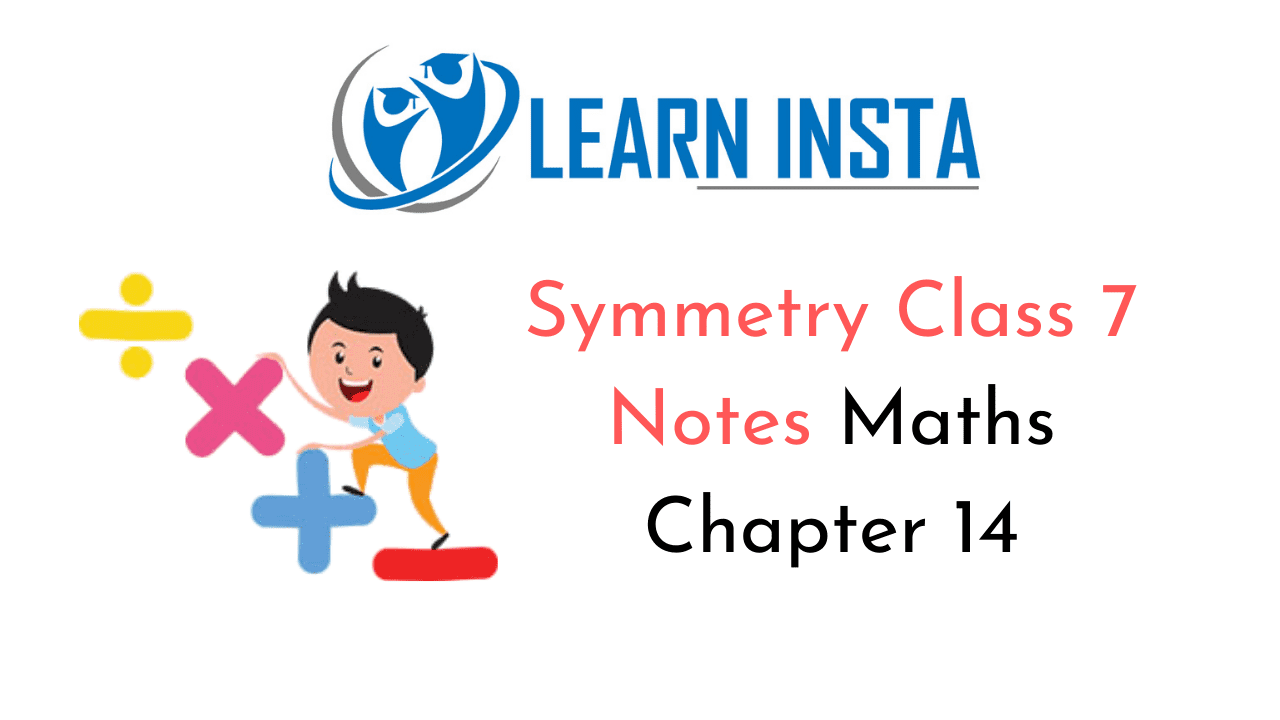 Symmetry Class 7 Notes
