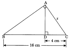 MCQ Of Triangles Class 10