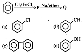 MCQ Questions for Class 12 Chemistry Chapter 10 Haloalkanes and Haloarenes with Answers 7