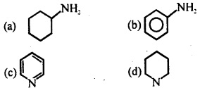 MCQ Questions for Class 12 Chemistry Chapter 13 Amines with Answers 11