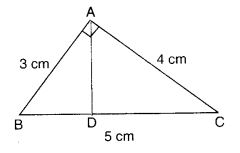MCQ Questions for Class 7 Maths Chapter 11 Perimeter and Area with Answers 3