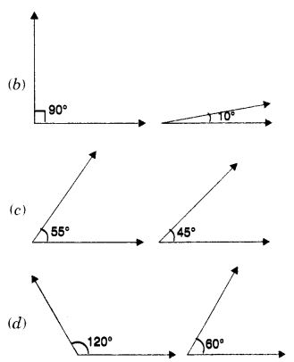 MCQ Of Lines And Angles Class 7