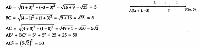 CBSE Sample Papers for Class 10 Maths Paper 1 Q19.1