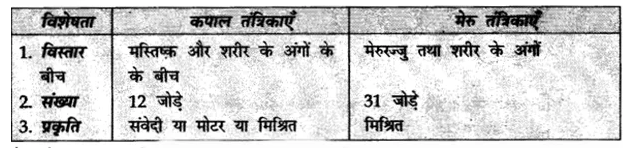 CBSE Sample Papers for Class 10 Science in Hindi Medium Paper 1 Qu10.1