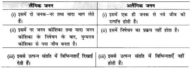CBSE Sample Papers for Class 10 Science in Hindi Medium Paper 1 Qu19.1