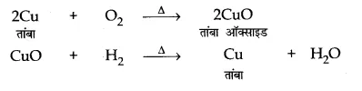CBSE Sample Papers for Class 10 Science in Hindi Medium Paper 1 Qu6.1
